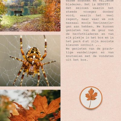 Thankful - mini album