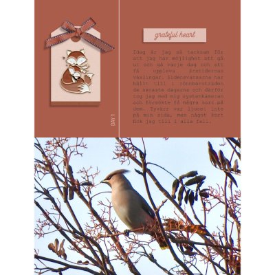 Days of Thanks 2022 - day 1