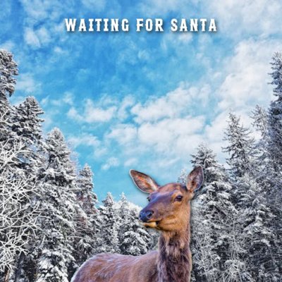 Waiting for Santa