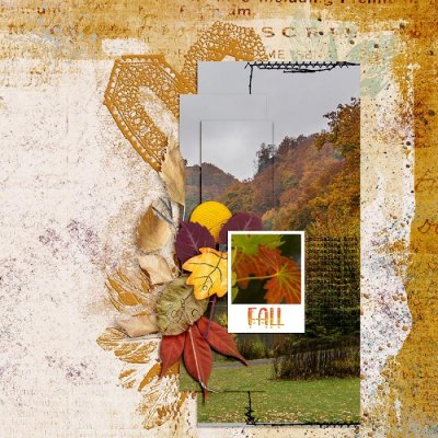Falling Leaves