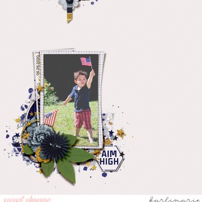 Aim High
