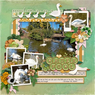 Waterfowl