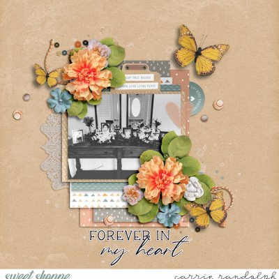 Forever in My Heart