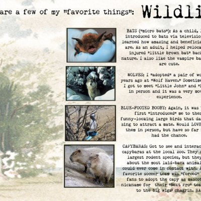 Wildlife