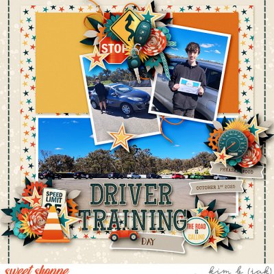 Driver Training
