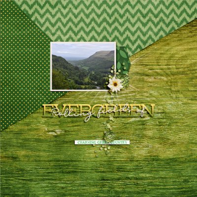 Rolling Fields of Evergreen