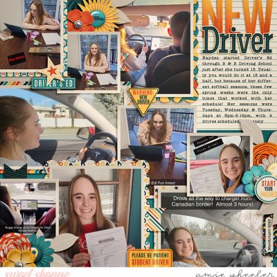 New Driver
