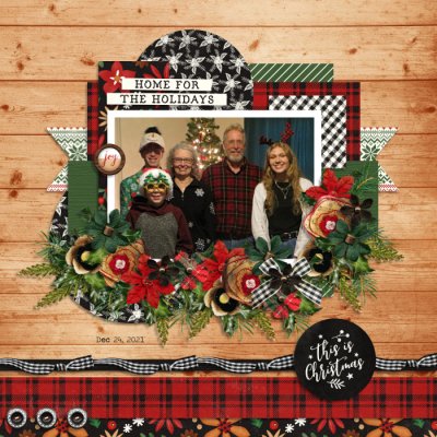 Home for the Holidays