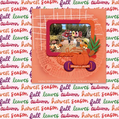 Pumpkin patch