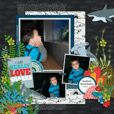 EEK A Shark from Clever Monkey Graphics