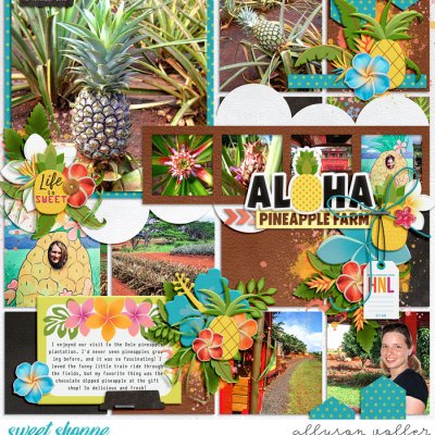 Aloha Pineapples