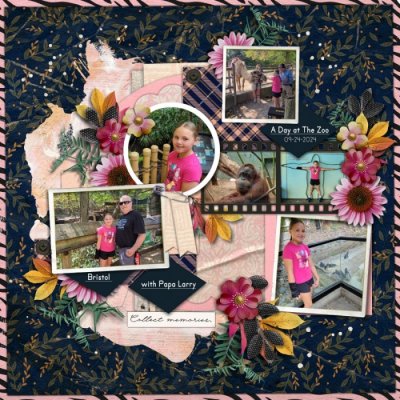 A Day at The Zoo