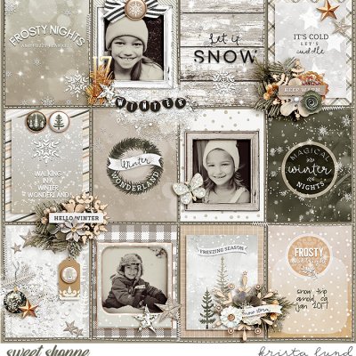 SSD-KL2017_01-WinterWonderlandArnold