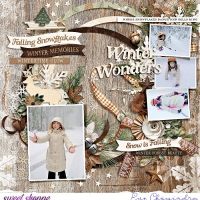 winter wonders