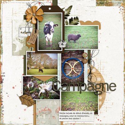Countryside walk