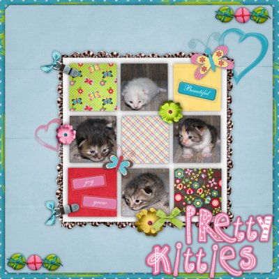 Pretty Kitties