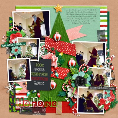 Ho Ho No