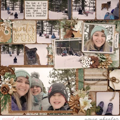 Winter Fun