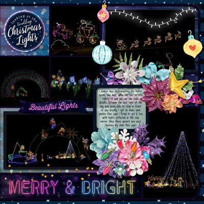 December 2025 - Holiday Fantasy of Lights - right