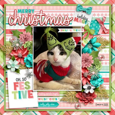 merry Christmas