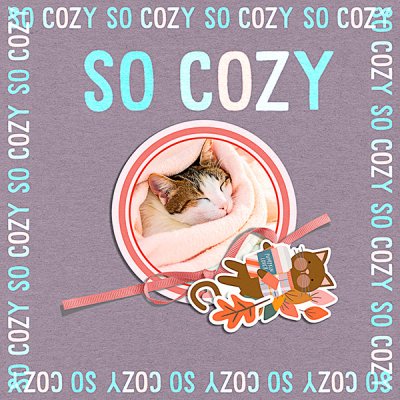 2025_So cozy_13a