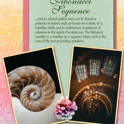 The Fibonacci Sequence
