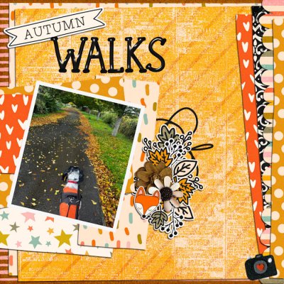 Autumn Walks