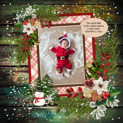 2025-12-05-JJflourangel-dsi-hm-woodlandwonder