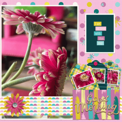 Pink Posies