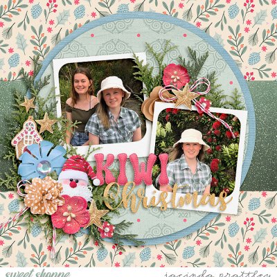 Kiwi Christmas