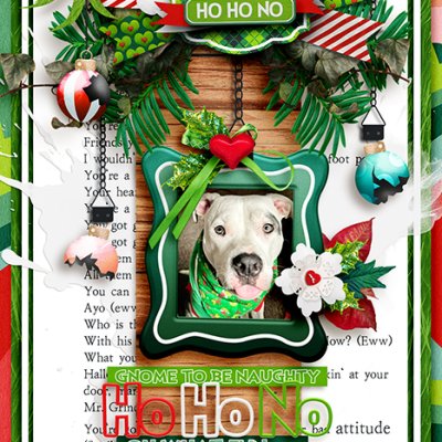 Ho Ho NO!! (Card)