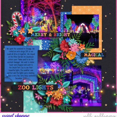 Zoo Lights Lincoln Park Zoo