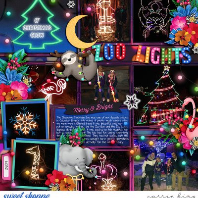 Zoo Lights