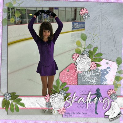 Skating Lessons