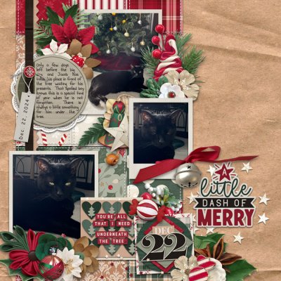 A Little Dash of Merry