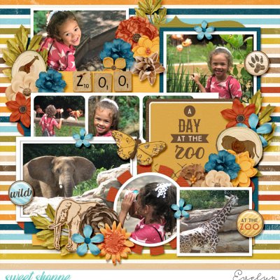 A Day at the Zoo