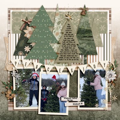 C2C 2025: Story 11