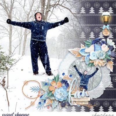 Fun Winter Memories