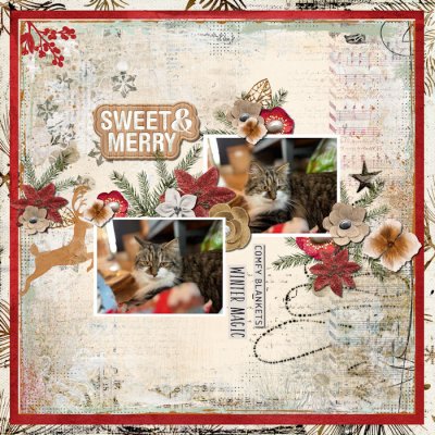 Dec 04 - Christmas Kitty
