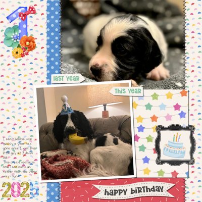 Dec 06 Birthday Boy