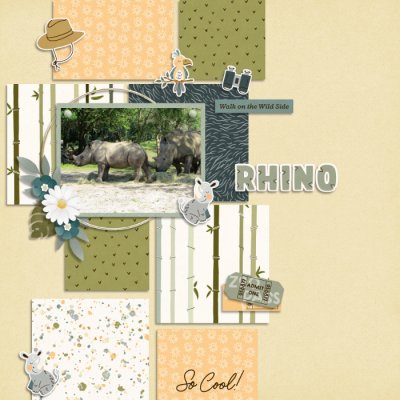 Rhino
