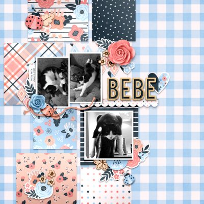 Bebe