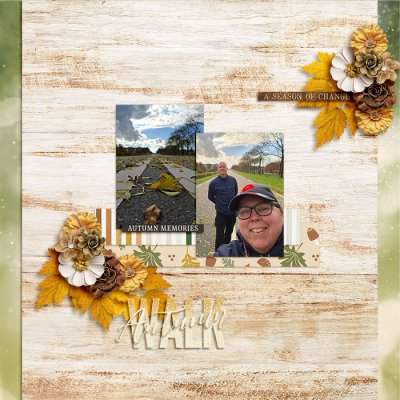 Autumn Walk