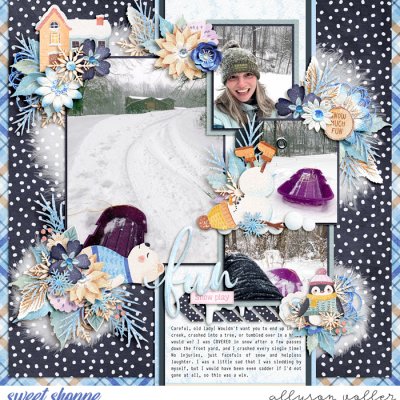 Fun Snow Play