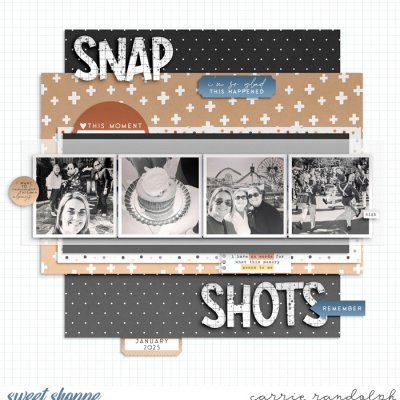 Snapshots