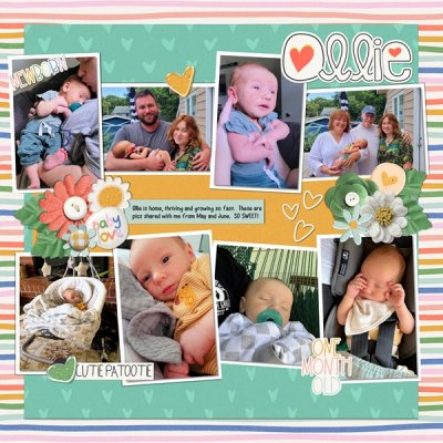 Jan_Scraplift_61