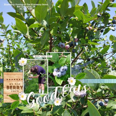 Good Eats at the Blueberry Patch