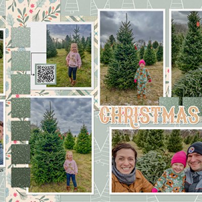 Christmas Tree Farm