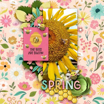kbc-GodsSeasonsSpring-