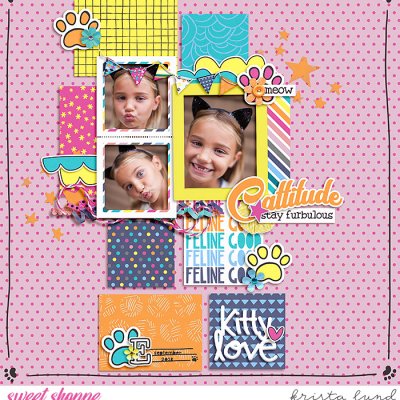 SSD-KL-2018_09-EmCattitude